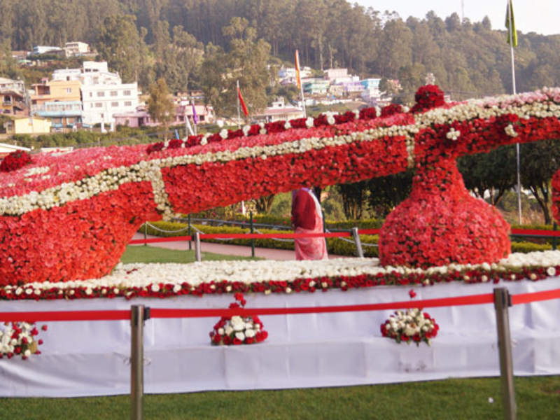Ooty Rose Garden