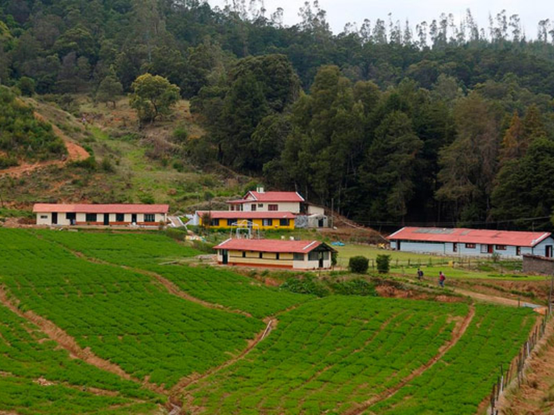 Parsons Valley Reservoir Ooty