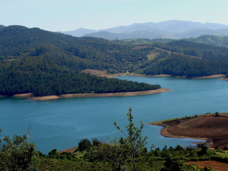 ooty lake